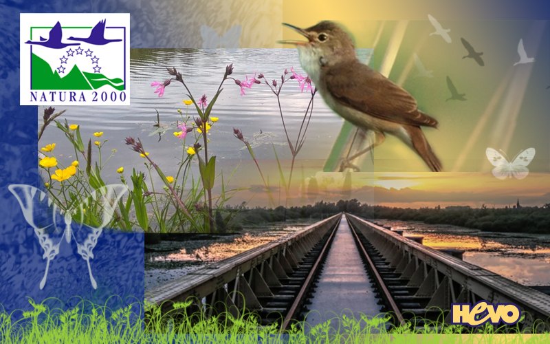 Excursie naar de Moerputten; wandeling met Ad Hartjes