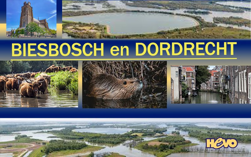 Dagreis Biesbosch en Dordrecht. Dagreis Biesbosch en Dordrecht.